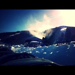 Meet your Posher, Benjamin